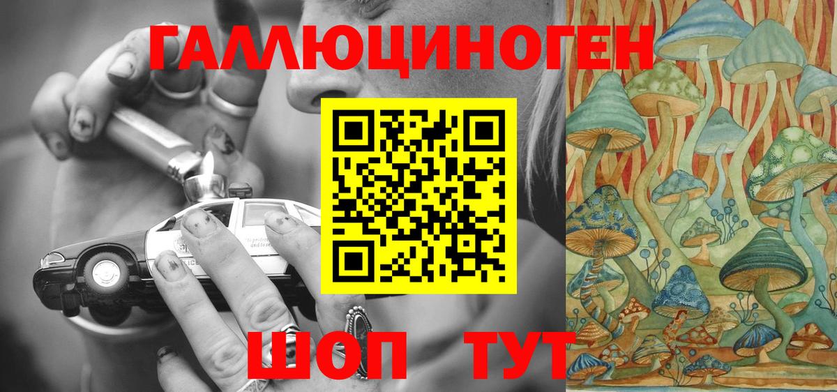 Железногорск  Псилоцибиновые грибы ЛСД  Вход с VPN 